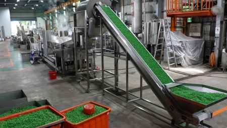 3. In-feed Conveyor